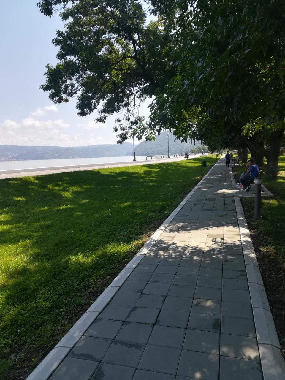 Apartman Bogic Golubăţ Exterior foto