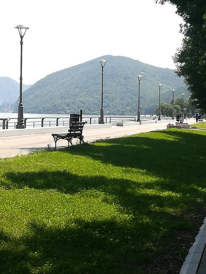 Apartman Bogic Golubăţ Exterior foto