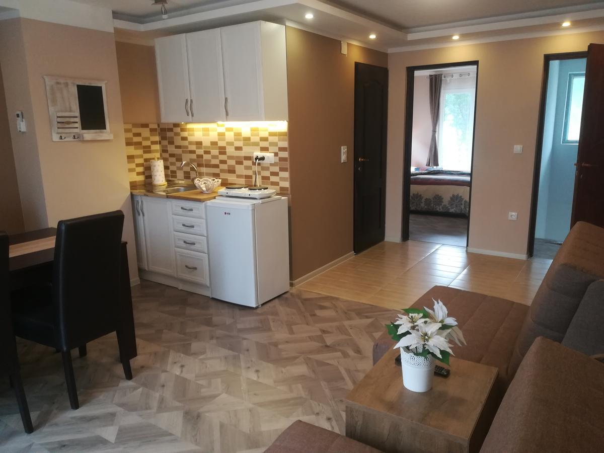 Apartman Bogic Golubăţ Exterior foto